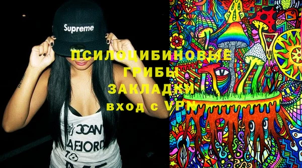 соль ск Липки