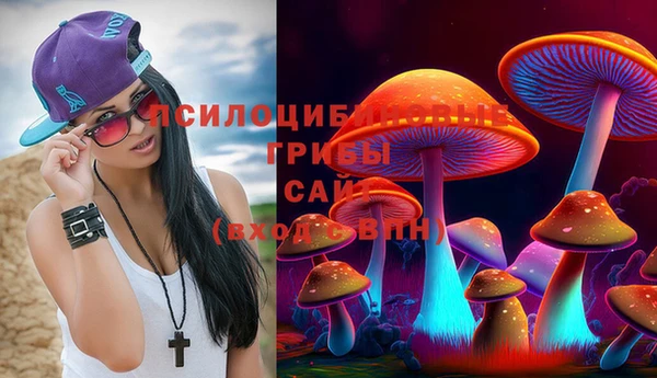 ПСИЛОЦИБИНОВЫЕ ГРИБЫ Майский