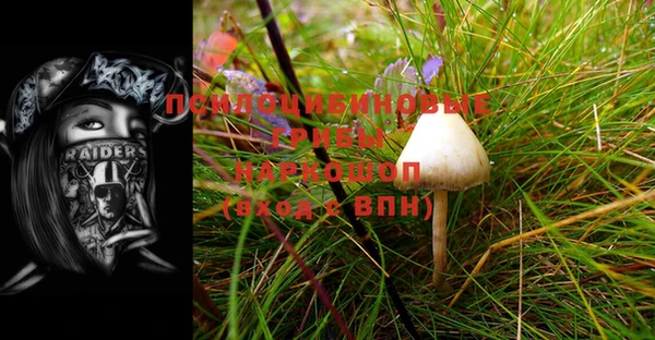 метадон Магас