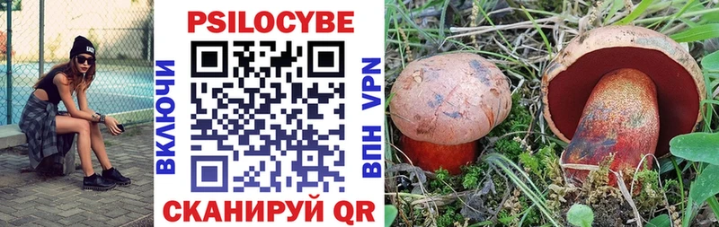 Галлюциногенные грибы GOLDEN TEACHER  Каменногорск 