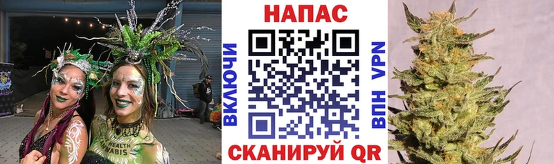 где продают   Каменногорск  Канабис планчик 